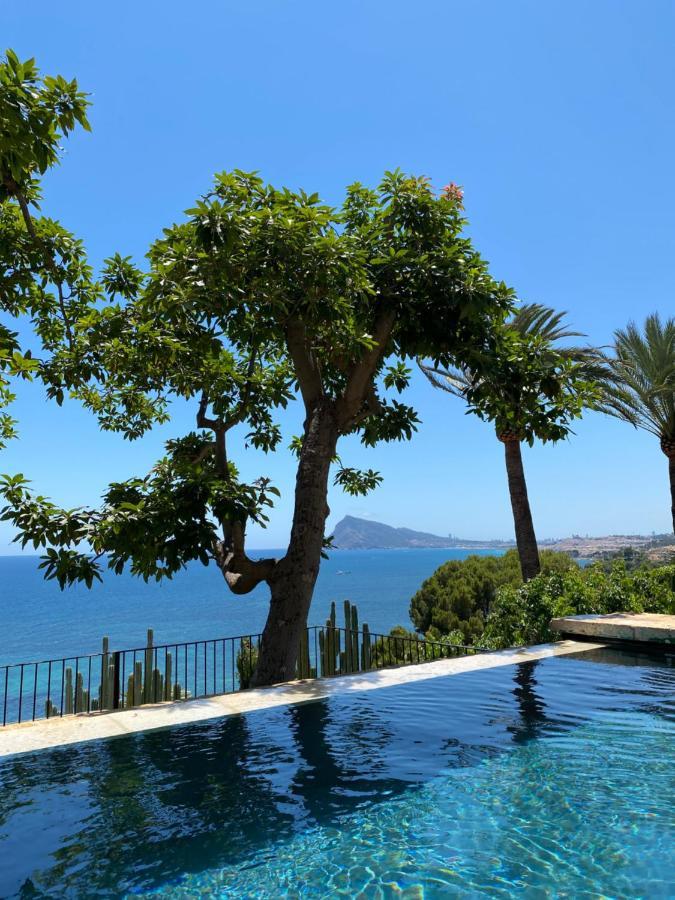 El Jardin Botanico Villa Luz อัลเตอา ภายนอก รูปภาพ
